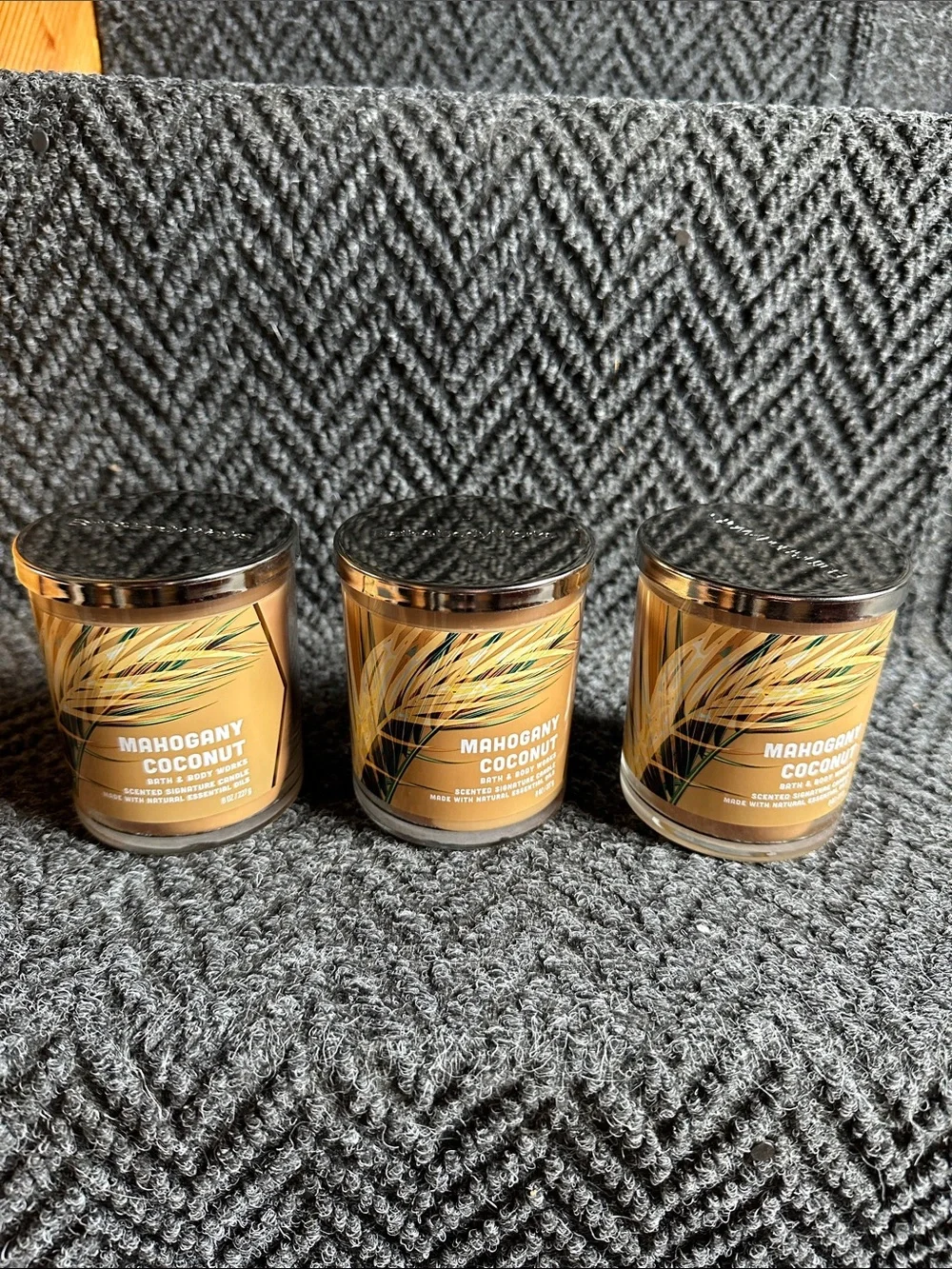 Bath & Body Works Mahogany Coconut Single Wick Candle